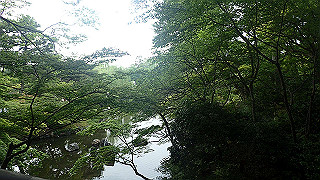 p5163729_thumb.jpg