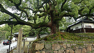 p5163741_thumb.jpg