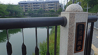 p5163761_thumb.jpg