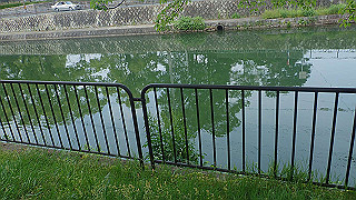 p5163764_thumb.jpg
