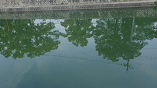 p5163765_thumb.jpg