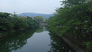p5163767_thumb.jpg