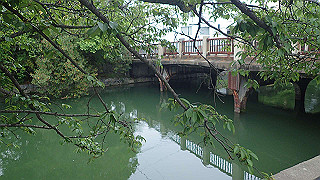 p5163769_thumb.jpg
