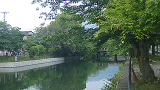 p5163773_thumb.jpg
