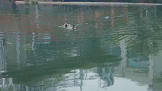 p5163776_thumb.jpg