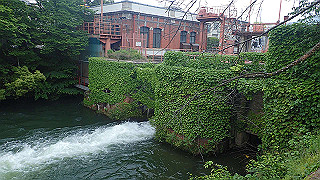 p5163783_thumb.jpg