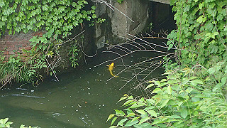 p5163784_thumb.jpg