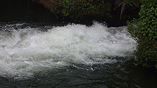 p5163786_thumb.jpg