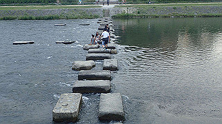 p5163792_thumb.jpg