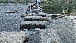 p5163793_thumb.jpg