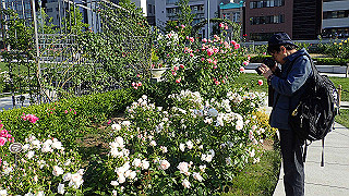 p5263812_thumb.jpg