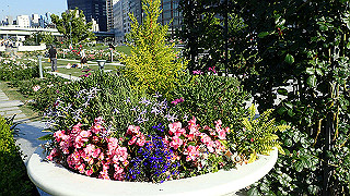 p5263817_thumb.jpg
