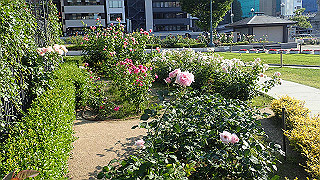 p5263818_thumb.jpg