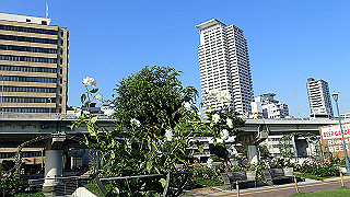 p5263819_thumb.jpg