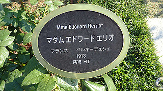 p5263828_thumb.jpg