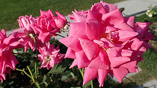 p5263839_thumb.jpg