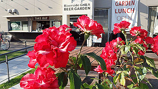p5263862_thumb.jpg