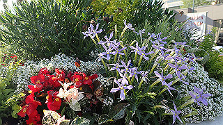p5263866_thumb.jpg