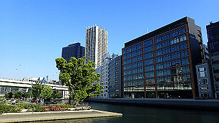p5263869_thumb.jpg