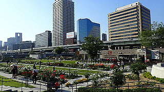 p5263870_thumb.jpg