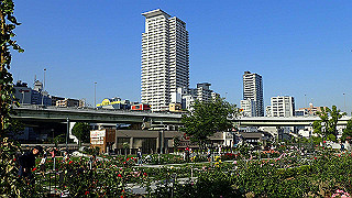p5263883_thumb.jpg