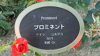 p5263887_thumb.jpg