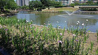 dsc_0025_thumb.jpg