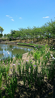 dsc_0026_thumb.jpg