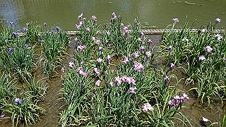 dsc_0027_thumb.jpg