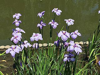 img_0804_thumb.jpg