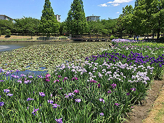 img_0858_thumb.jpg