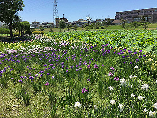 img_0863_thumb.jpg