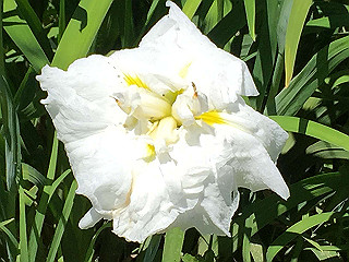 img_0865_thumb.jpg