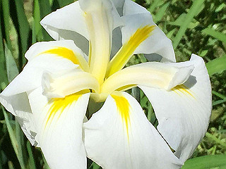 img_0870_thumb.jpg