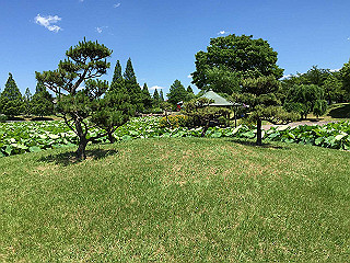 img_0875_thumb.jpg