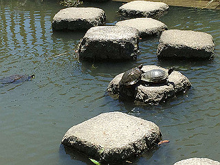 img_0888_thumb.jpg