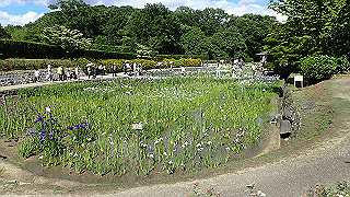 p6063897_thumb.jpg