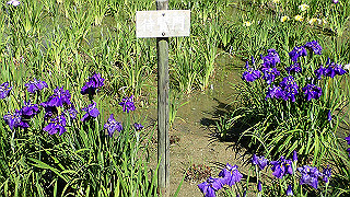 p6063899_thumb.jpg