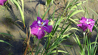 p6063902_thumb.jpg