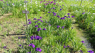 p6063904_thumb.jpg
