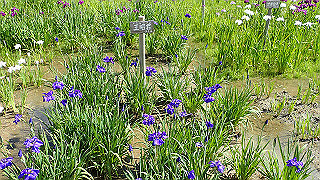 p6063906_thumb.jpg
