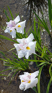 p6063910_thumb.jpg