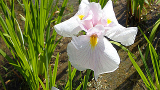 p6063912_thumb.jpg