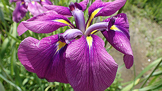 p6063914_thumb.jpg