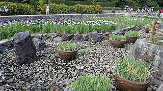 p6063919_thumb.jpg