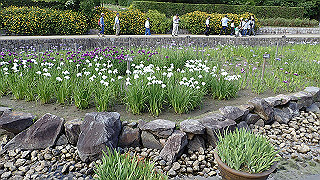 p6063920_thumb.jpg