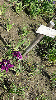 p6063923_thumb.jpg
