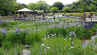 p6063938_thumb.jpg