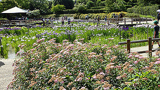 p6063940_thumb.jpg