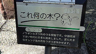 p6063941_thumb.jpg